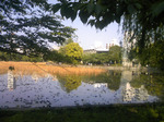 20130505161146.jpg