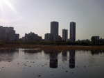 20130505161742.jpg