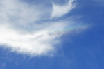 20130530182512b.jpg