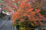 201311231348.jpg
