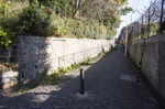 201312231131.jpg