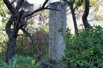 201312231246.jpg