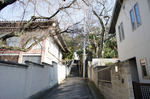 201312231305.jpg