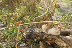 201312231311.jpg