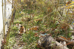 201312231314.jpg