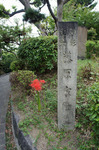 20140920114540.jpg