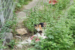 20140920115744.jpg