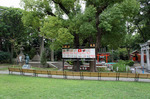 20140920123938.jpg