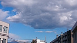 20170121DSC_1522b.jpg