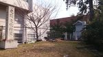 20170317090211.jpg