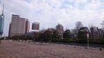 20170317091332.jpg