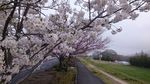 20170408090240.jpg