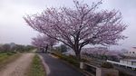 20170408090315.jpg