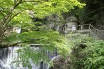 20170503094350.jpg