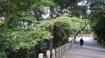 20170523084653.jpg