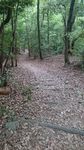 20170523090510.jpg