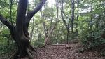 20170523090531.jpg