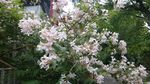 20170523091257.jpg