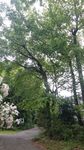 20170523091303.jpg