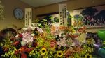 20170527170508.jpg