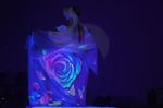 20180328202318.jpg