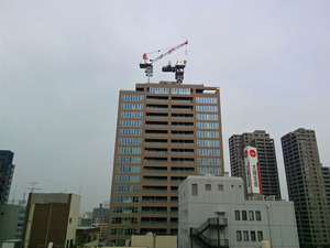 2018cranes02.jpg