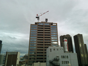 2018cranes03.jpg