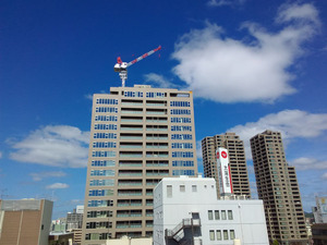 2018cranes04.jpg