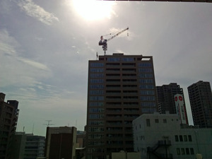 2018cranes05.jpg