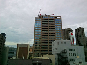 2018cranes06.jpg