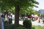 DSC05212.jpg