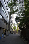 DSC05221.jpg