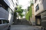 DSC05222.jpg