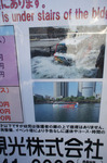 DSC05251.jpg