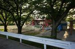 DSC05263.jpg