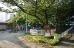 DSC05264.jpg