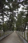 DSC05988.jpg