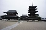 DSC05991.jpg