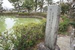 DSC06000.jpg