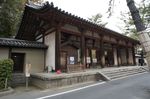 DSC06009.jpg