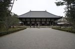DSC06011.jpg
