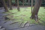 DSC06028.jpg
