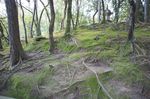 DSC06036.jpg