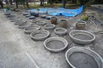 DSC06039.jpg