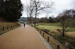 DSC06045.jpg