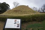 DSC06052.jpg