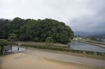 DSC06071.jpg