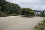 DSC06076.jpg