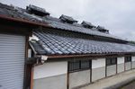 DSC06078.jpg