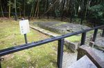 DSC06093.jpg